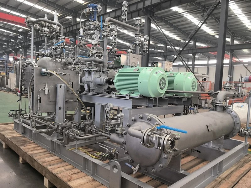 liquid ring compressor system 3 liquid ring compressor system 3